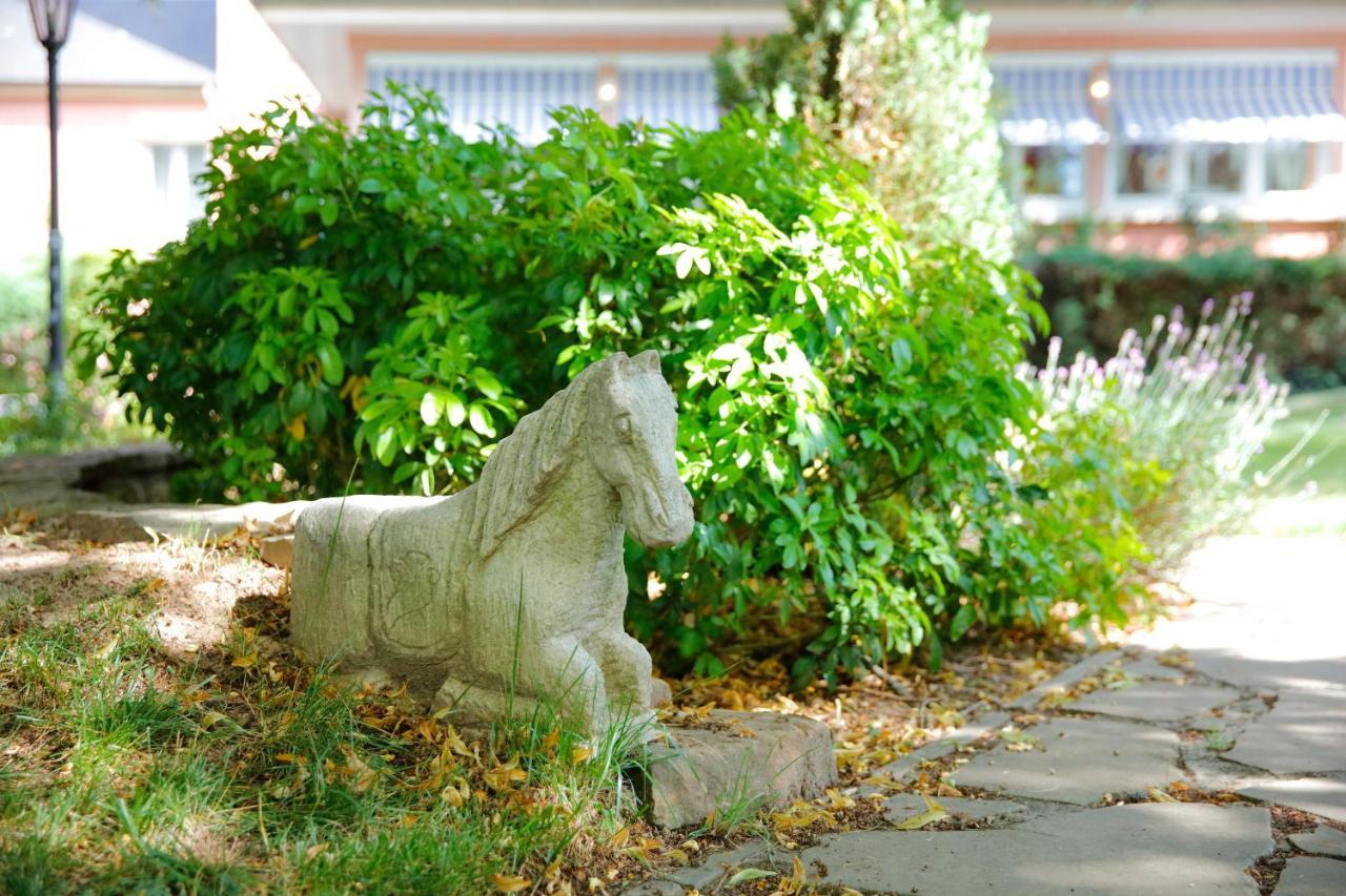 Hotel Gruber Steinheim Екстер'єр фото